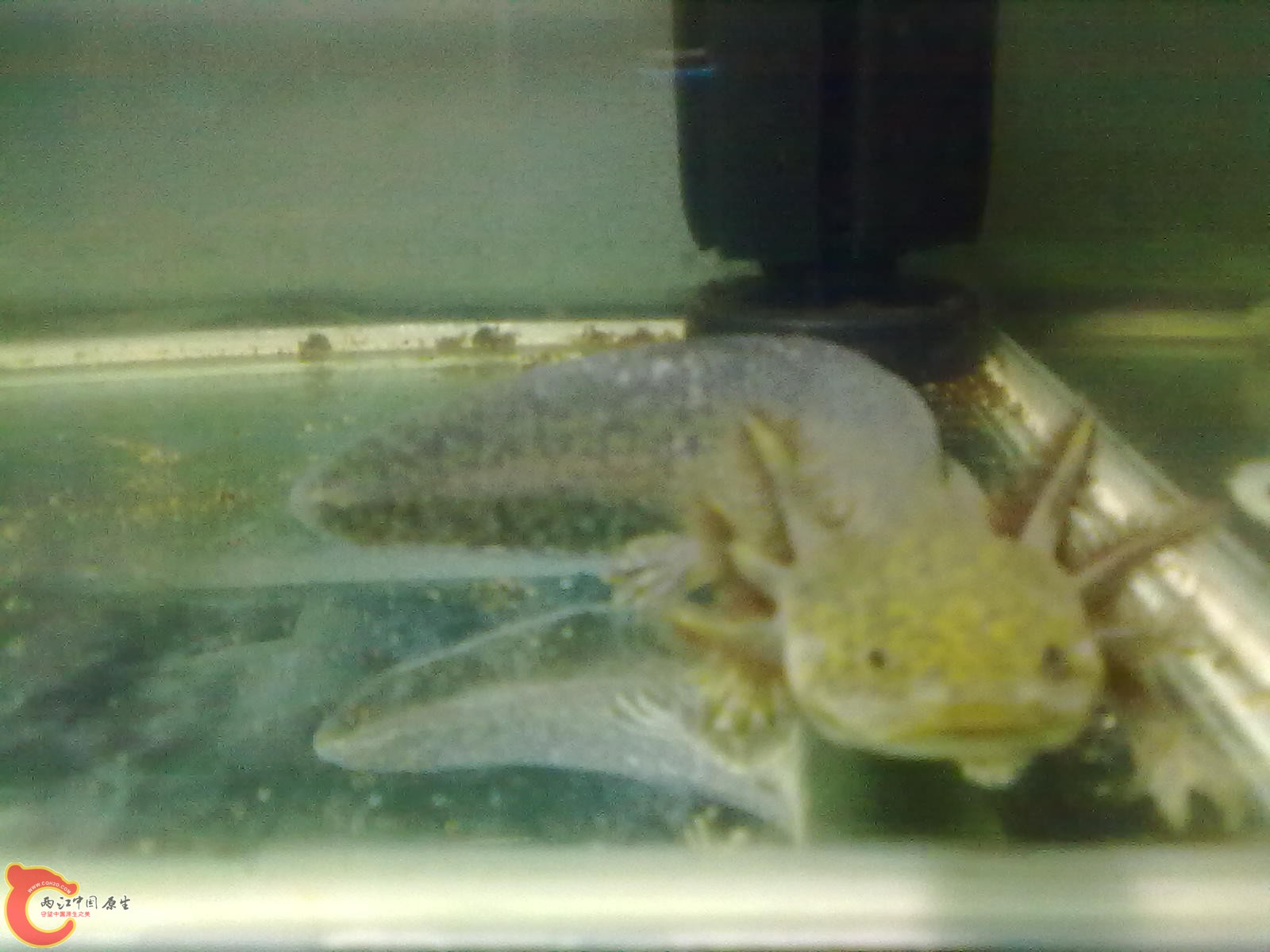 201005311588.jpg