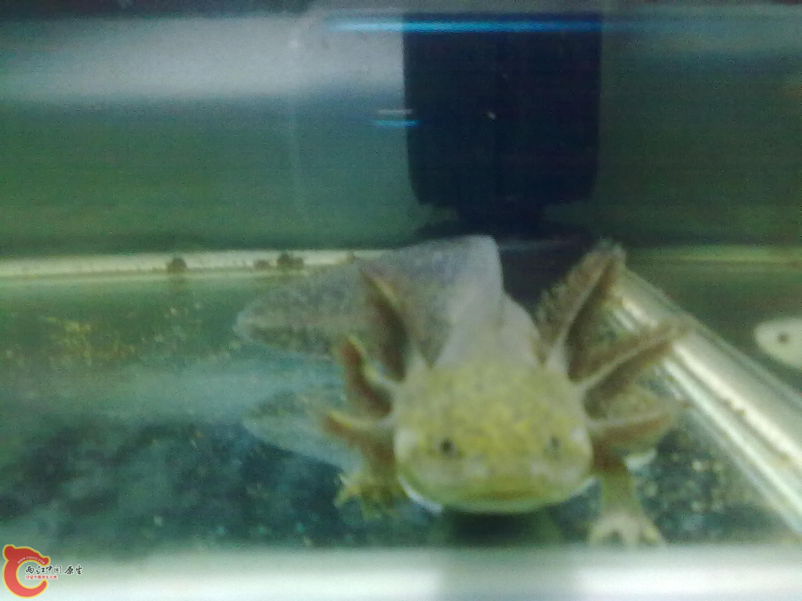 201005311591.jpg