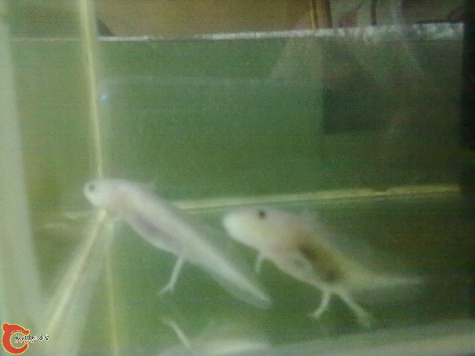 201006041726.jpg