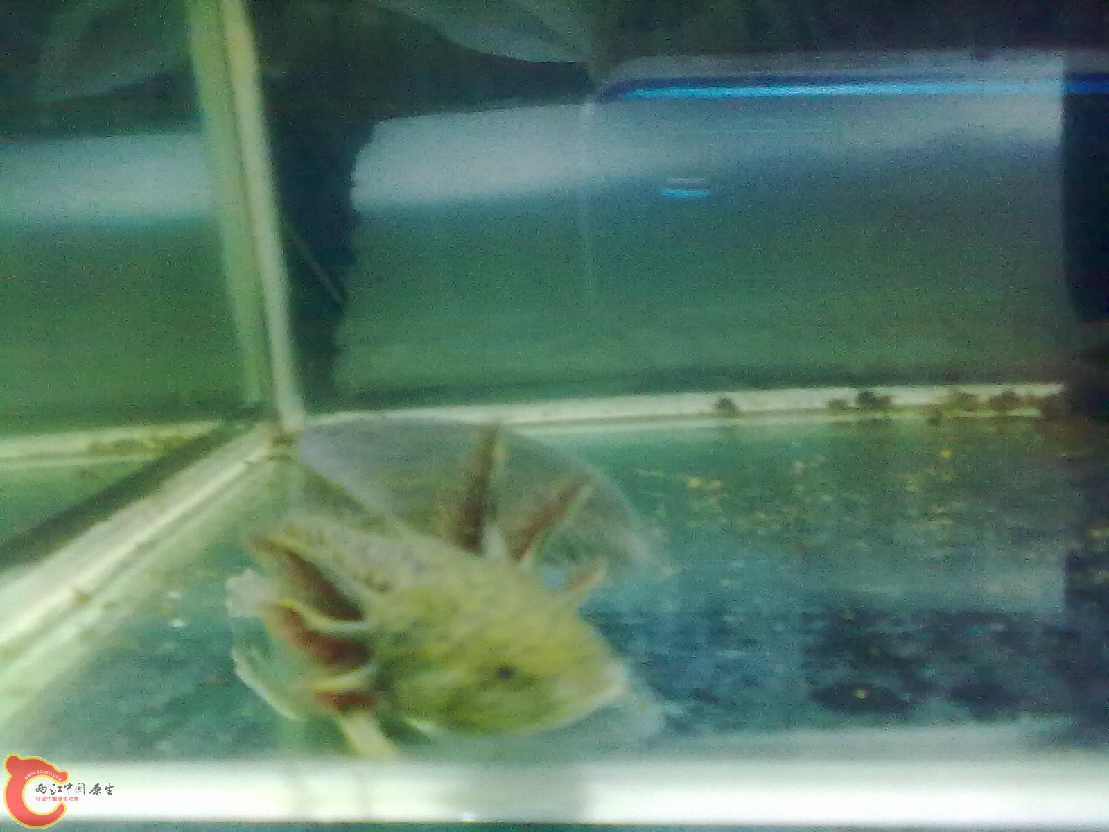 201005311592.jpg