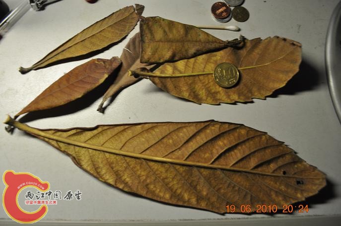 DSC_1262.JPG