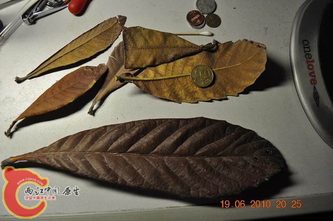DSC_1263.JPG