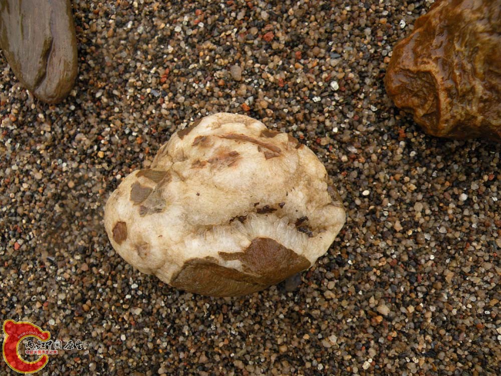 野采到的小水晶原石