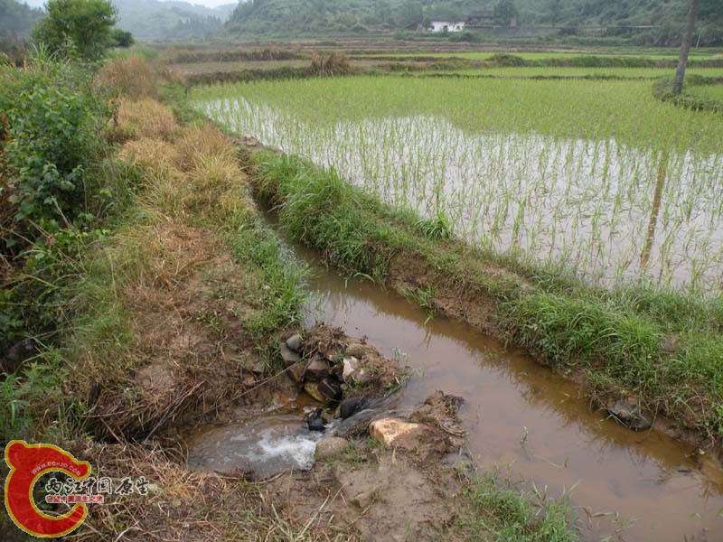 XX第一故乡江西水田，第2个家杭州