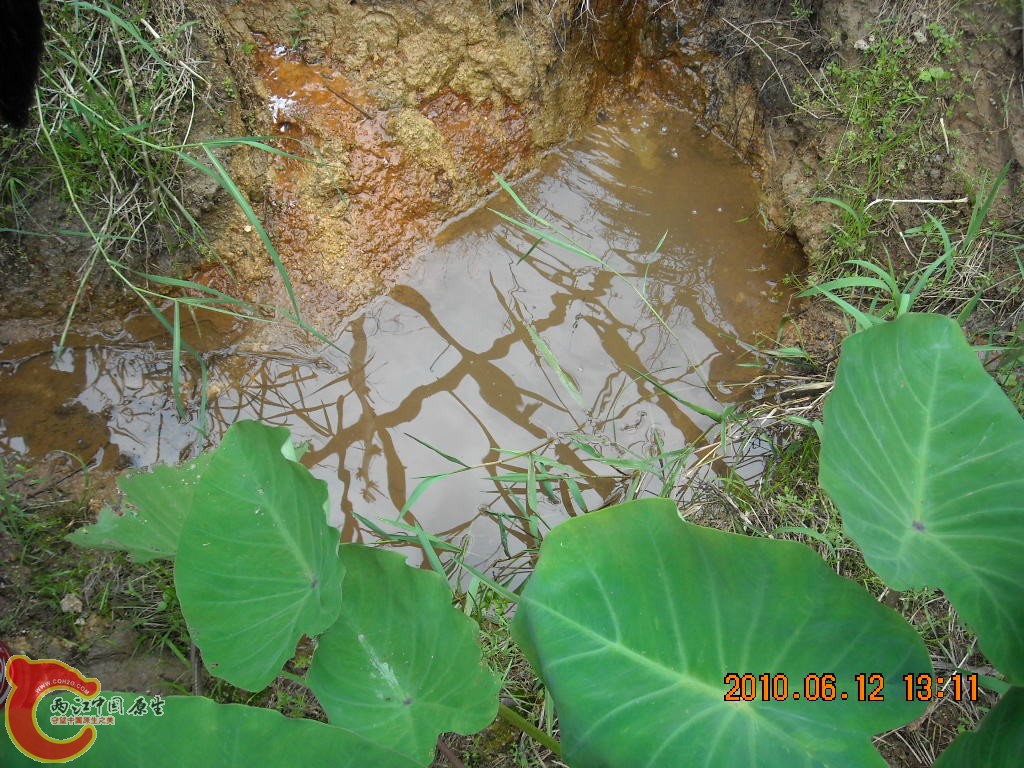 DSCN8889.JPG