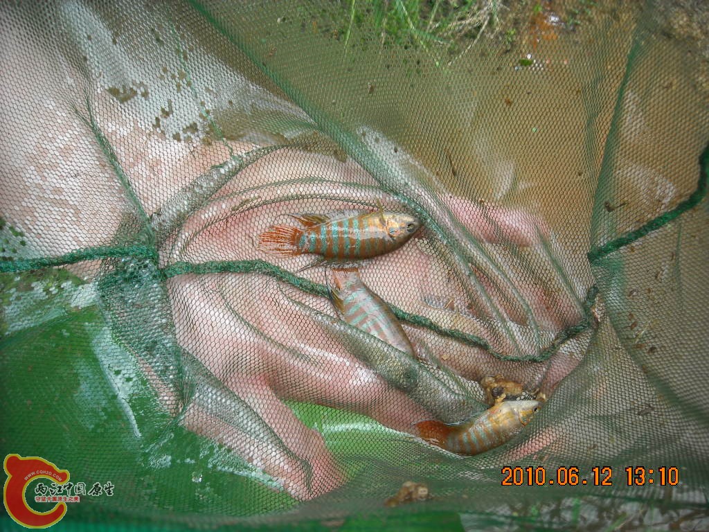 DSCN8888.JPG