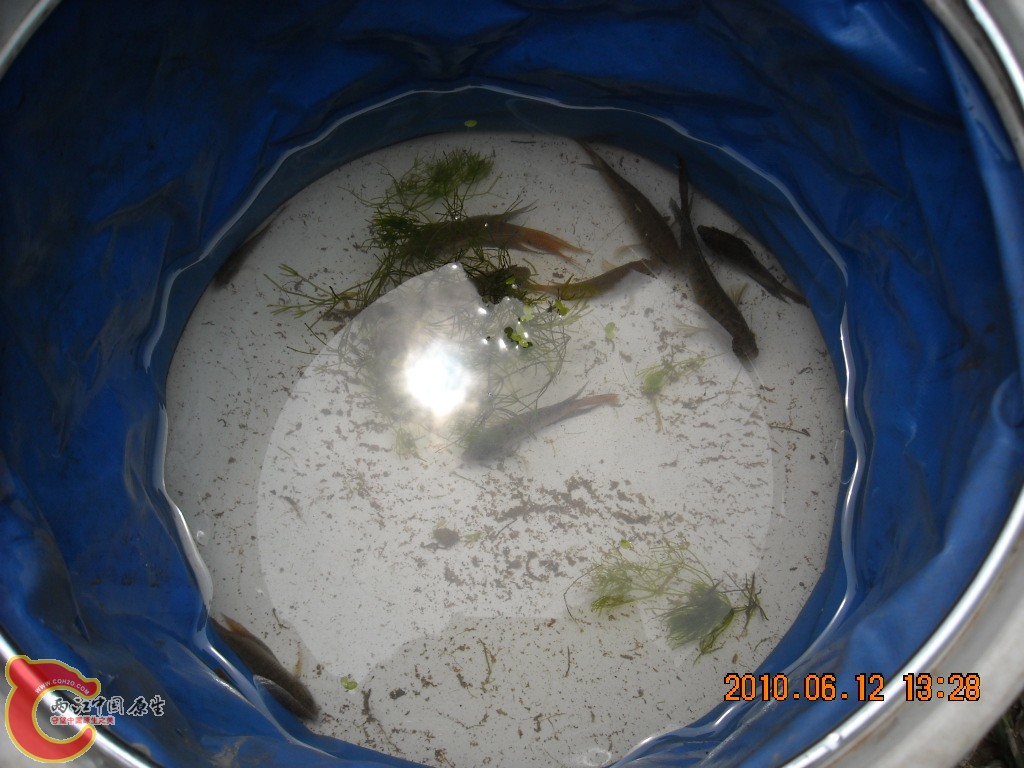 DSCN8894.JPG