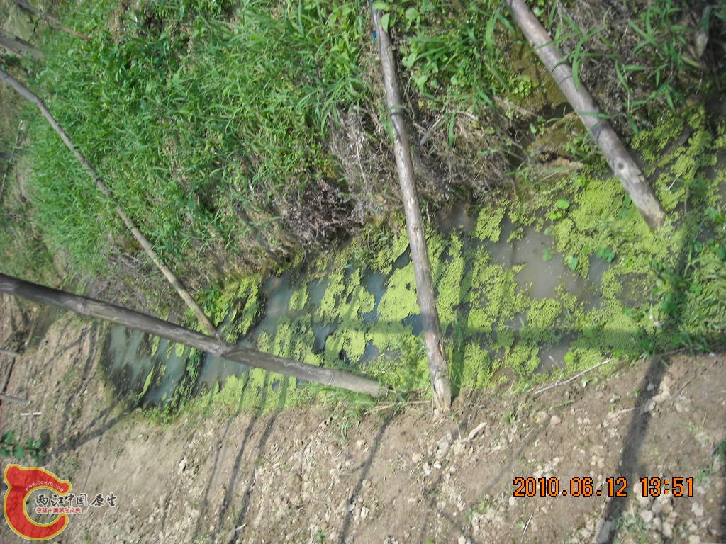 DSCN8895.JPG