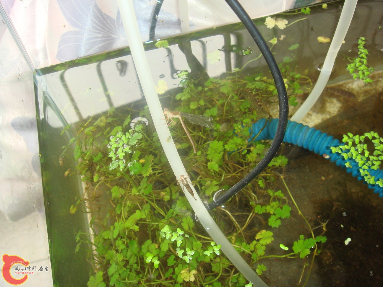DSC01780_缩小大小.JPG