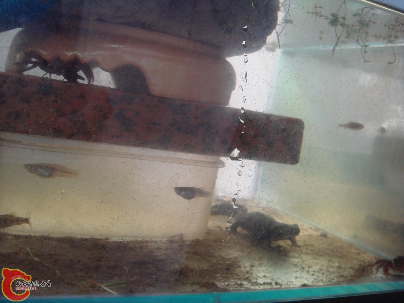 DSC01793_缩小大小.JPG