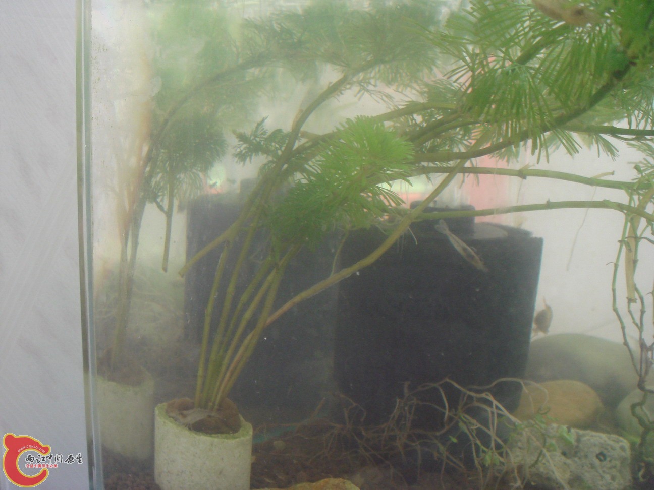 DSC01804_缩小大小.JPG