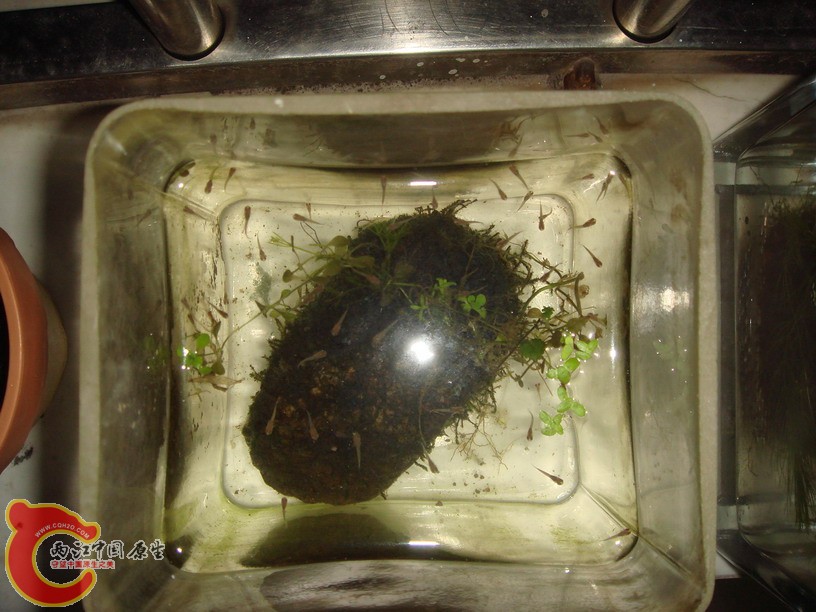 DSC01859_缩小大小.JPG