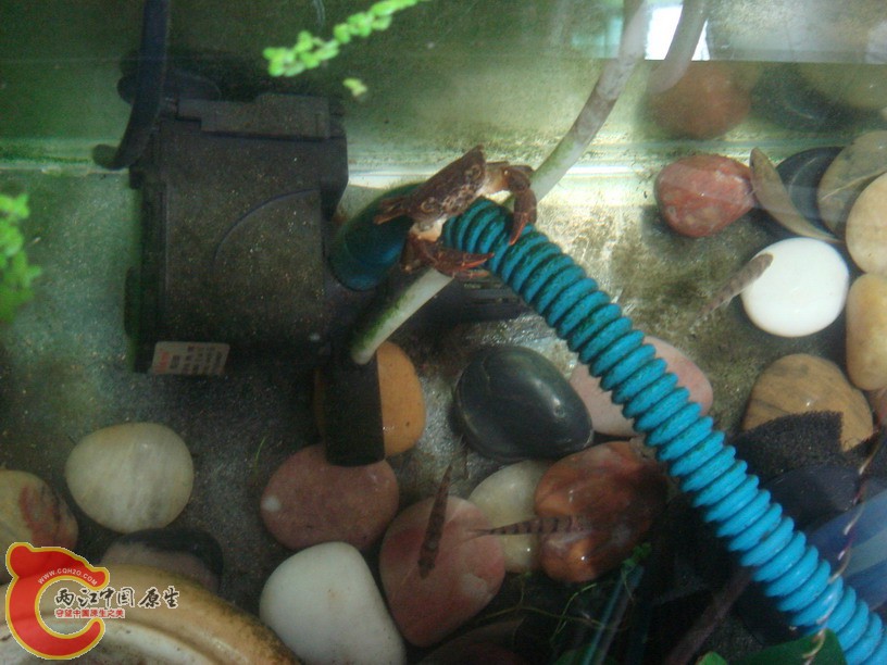 DSC01845_缩小大小.JPG