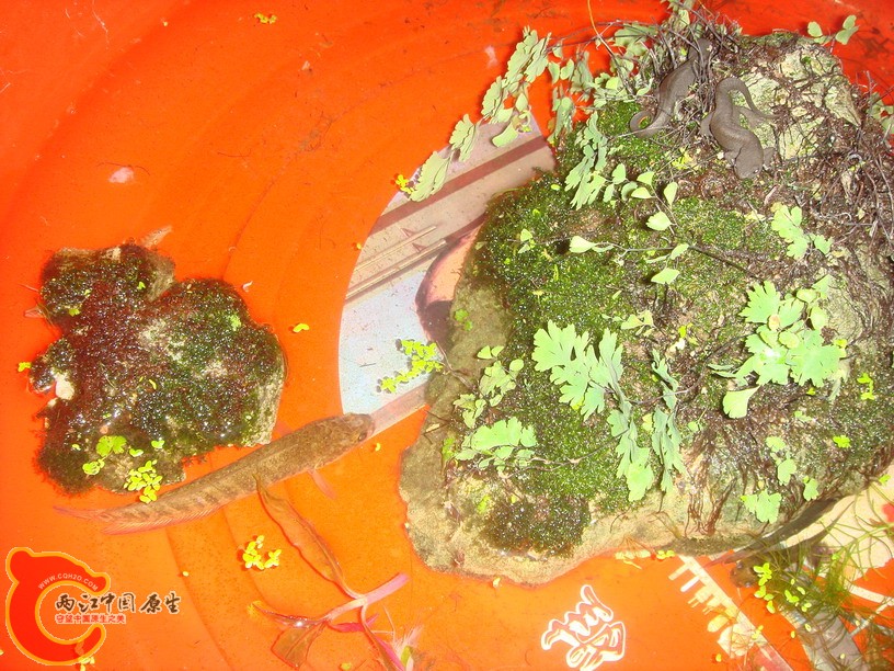 DSC01863_缩小大小.JPG