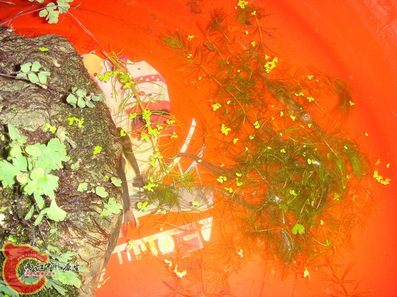 DSC01867_缩小大小.JPG