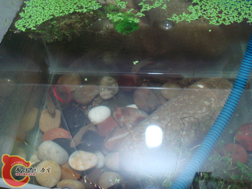 DSC01843_缩小大小.JPG