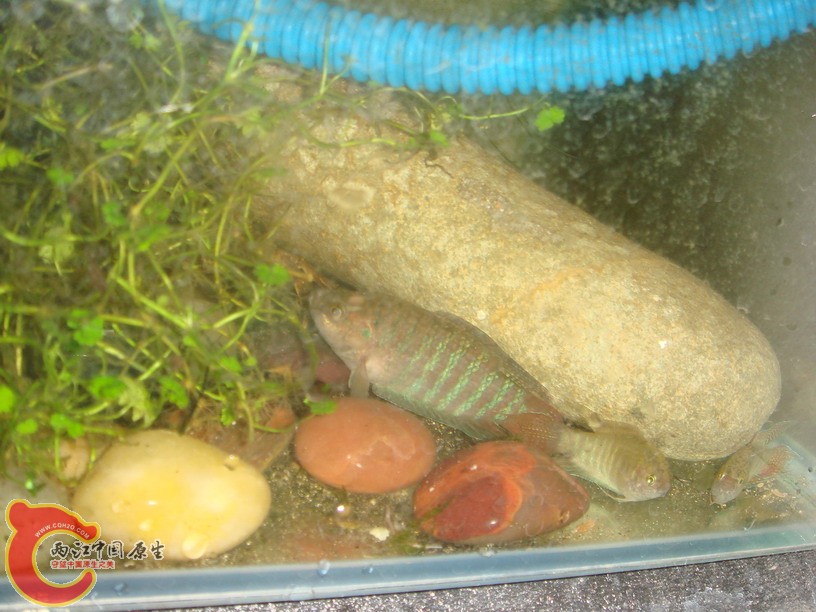 DSC01850_缩小大小.JPG