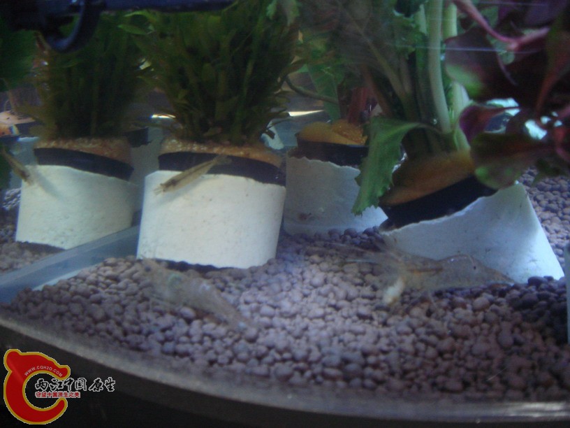 DSC01834_缩小大小.JPG