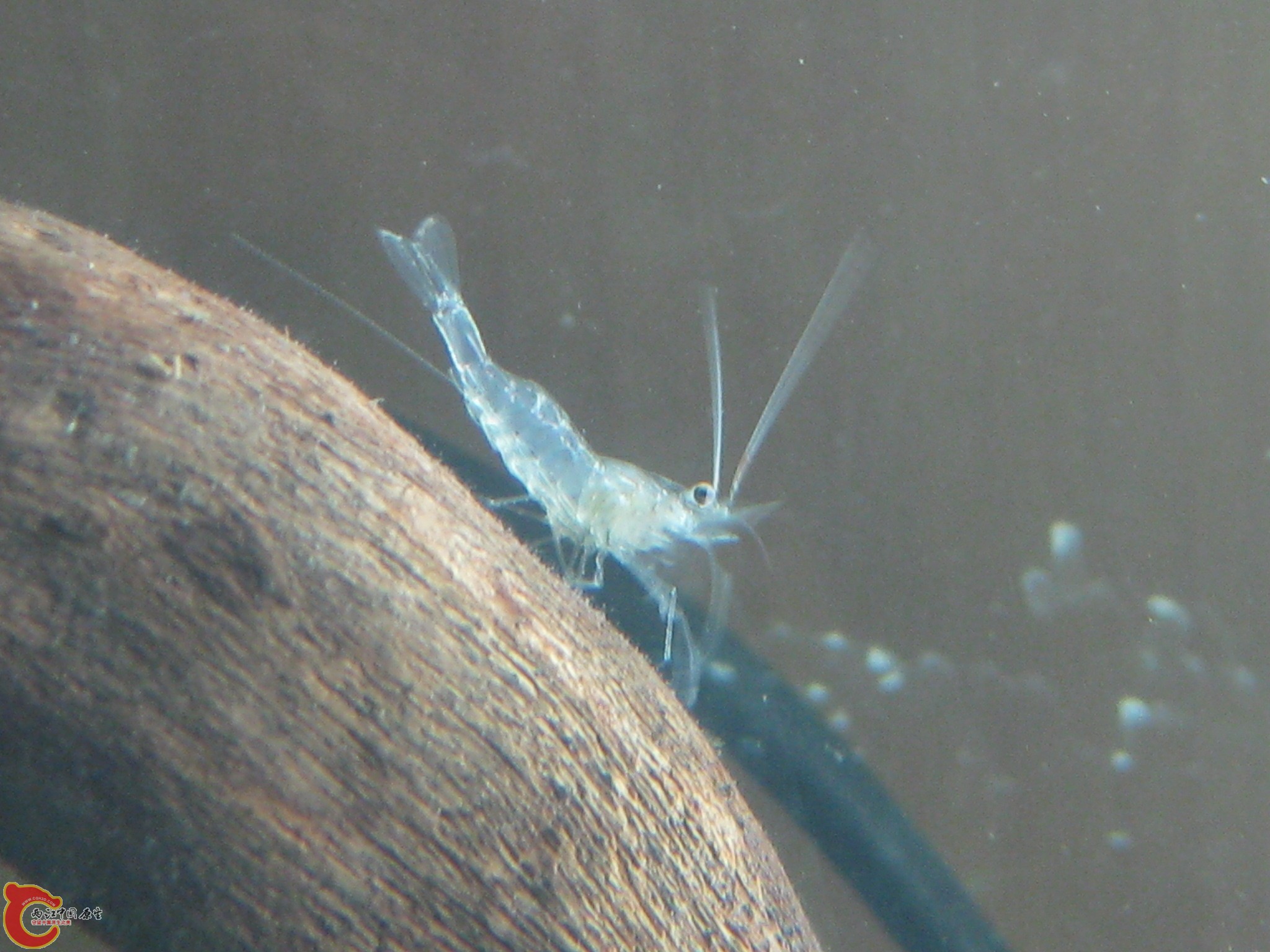 IMG_3753.JPG