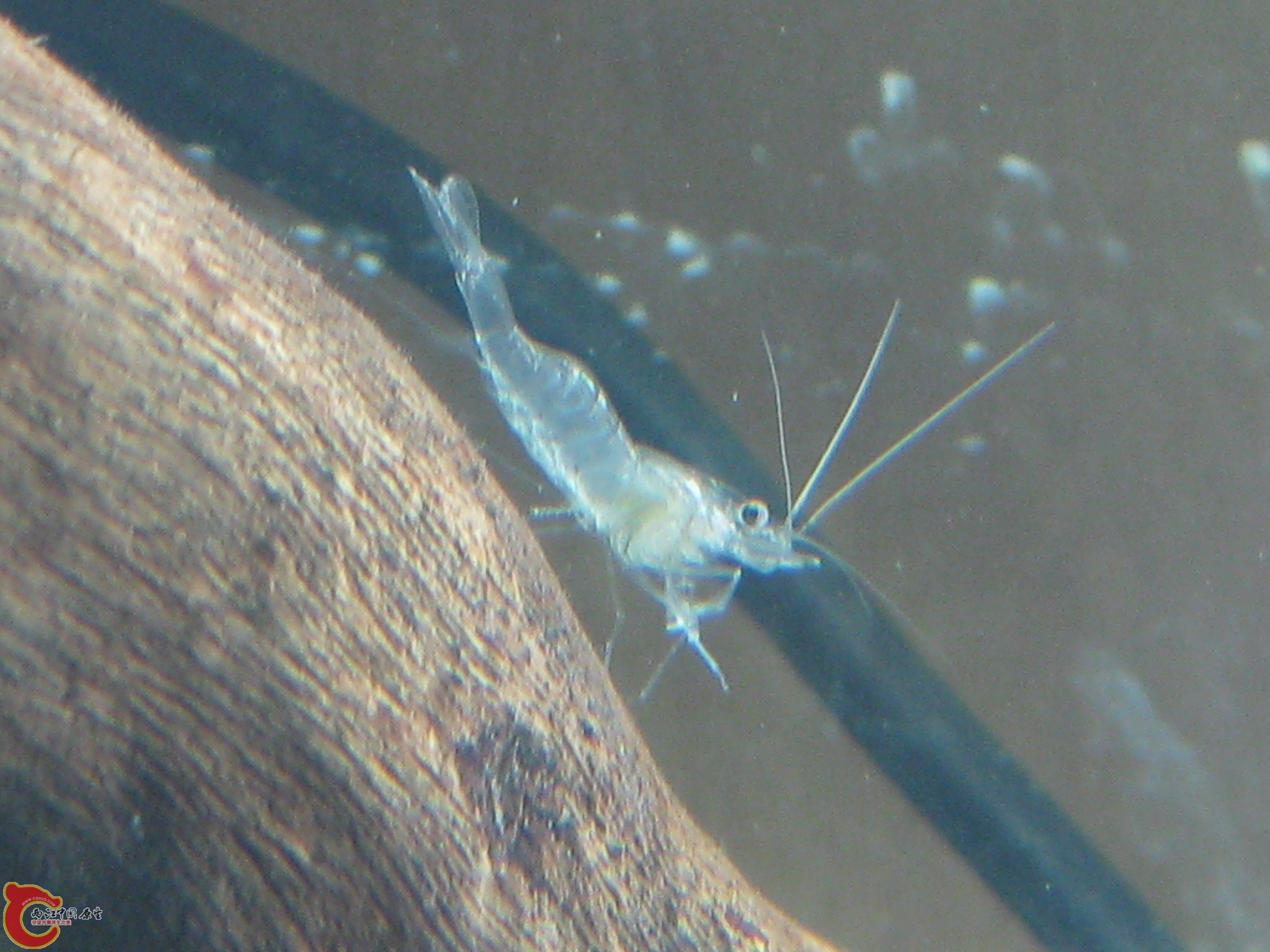 IMG_3750.JPG