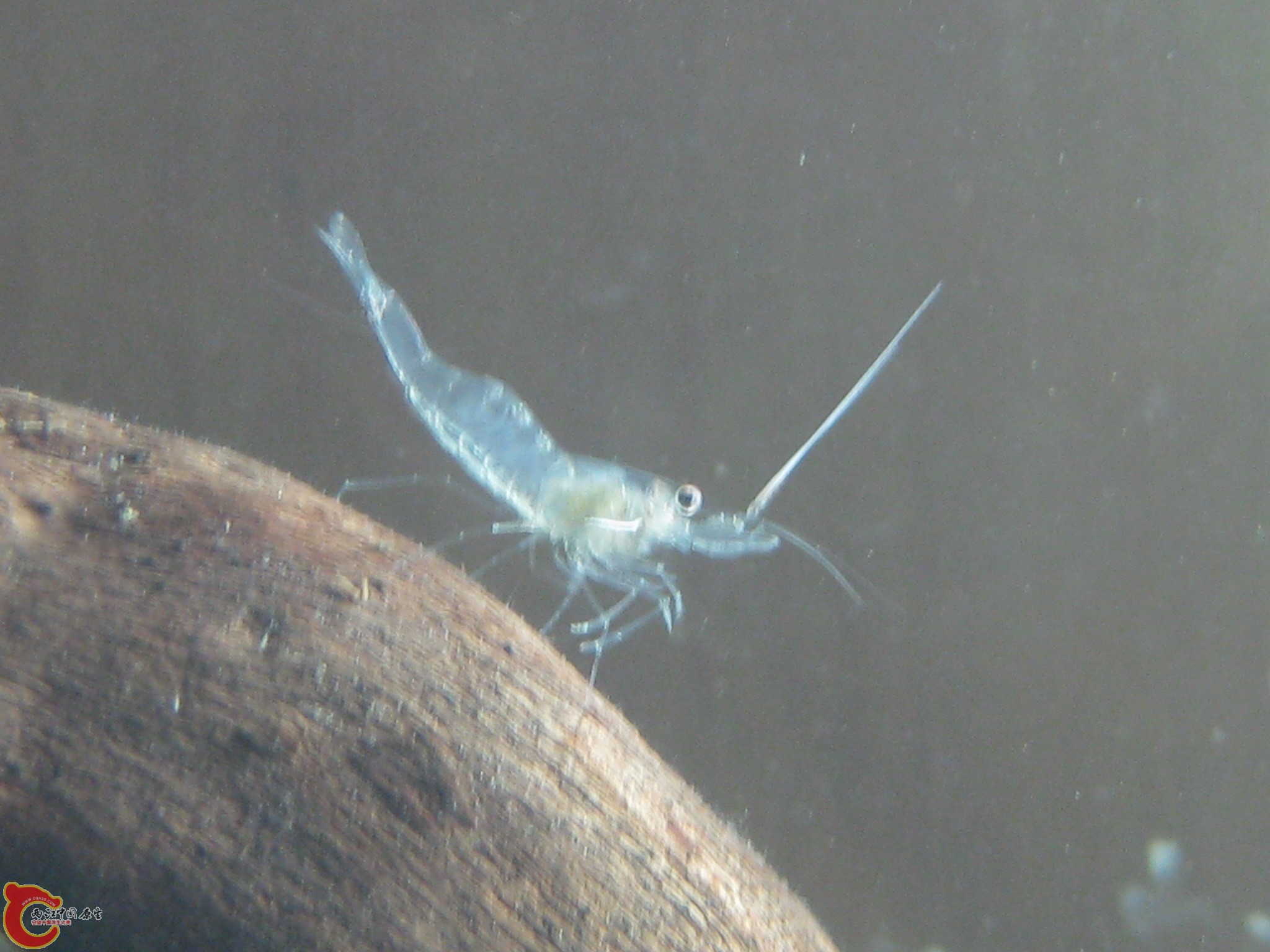 IMG_3758.JPG