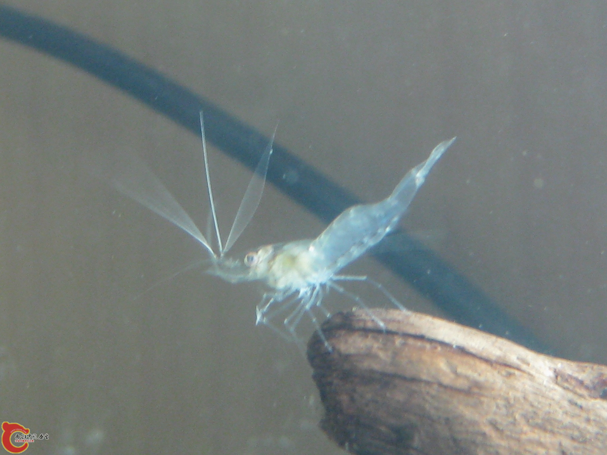 IMG_3767.JPG