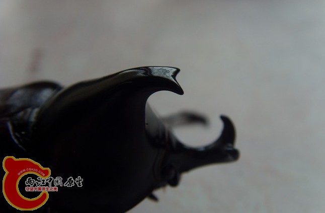 QQ截图未命名..jpg