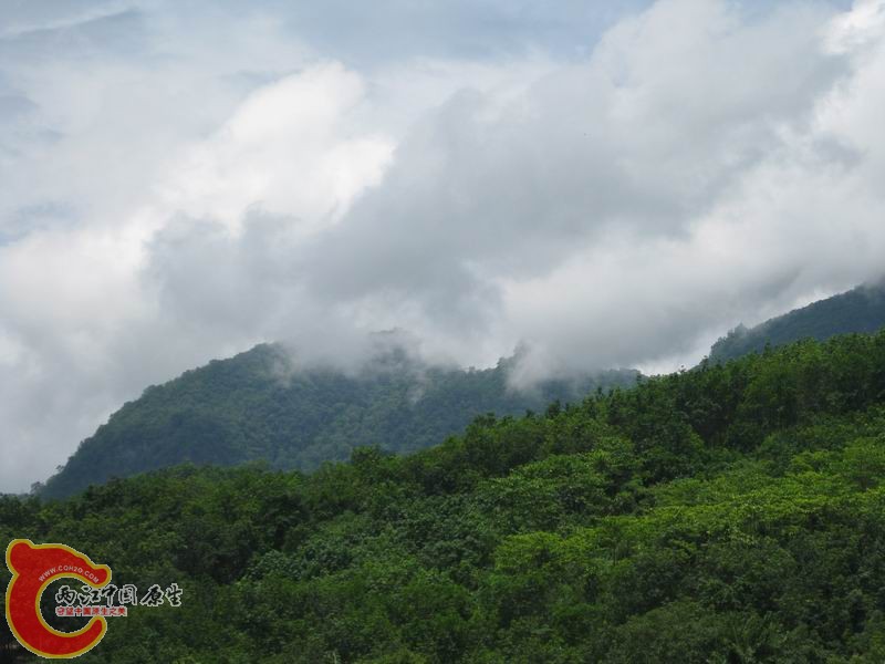 IMG_1045.jpg