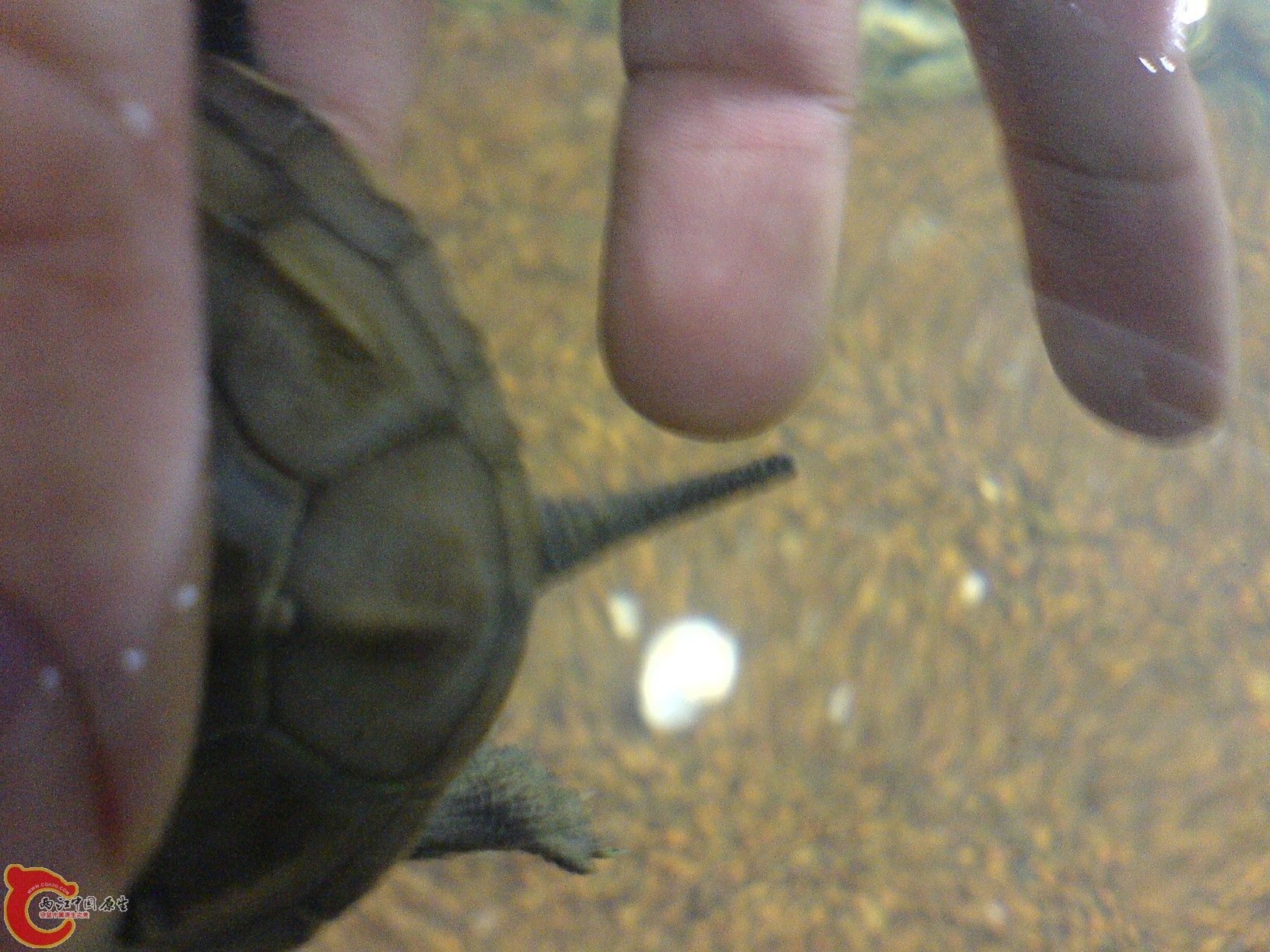 阿三