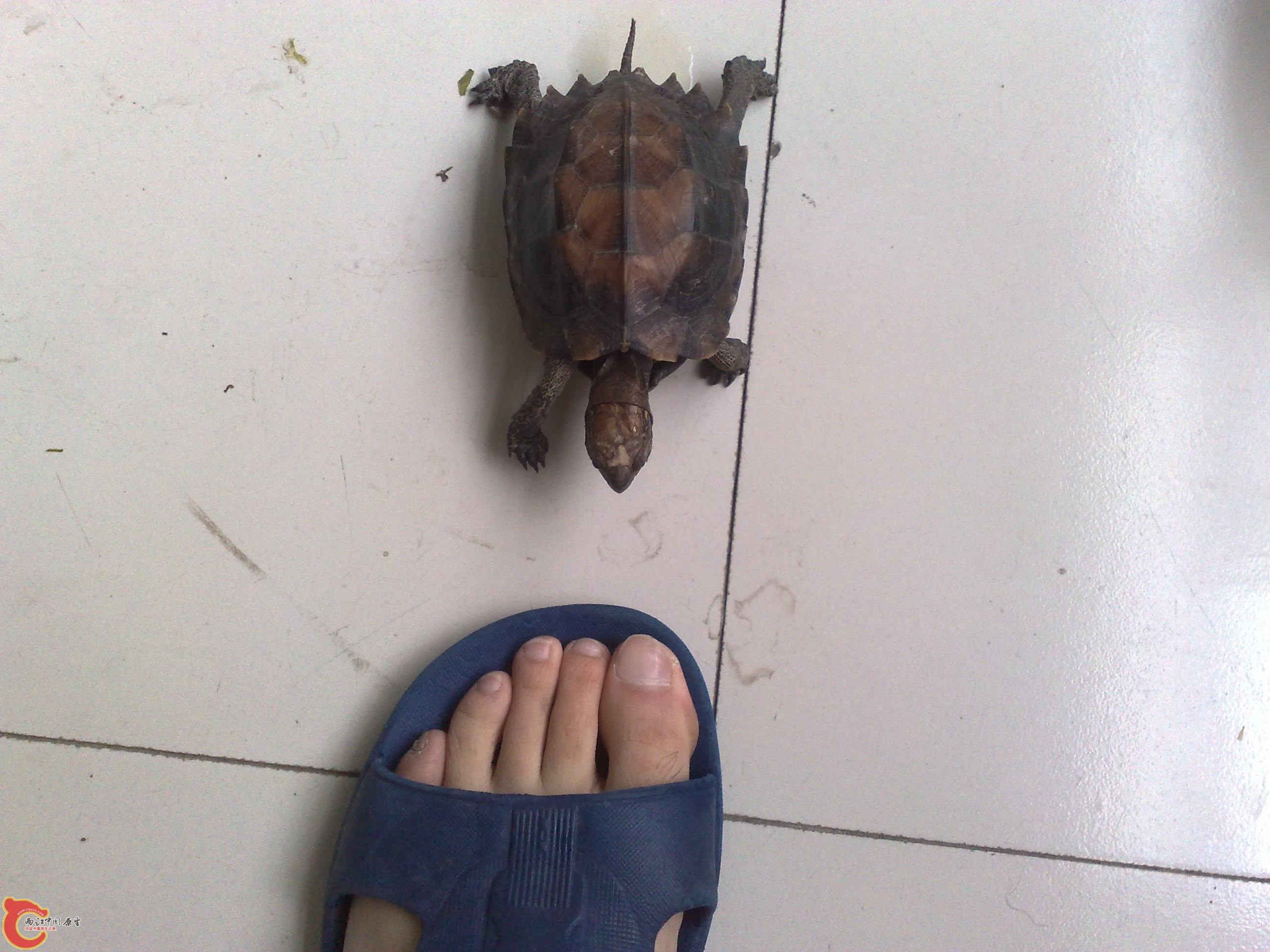 201006101034.jpg