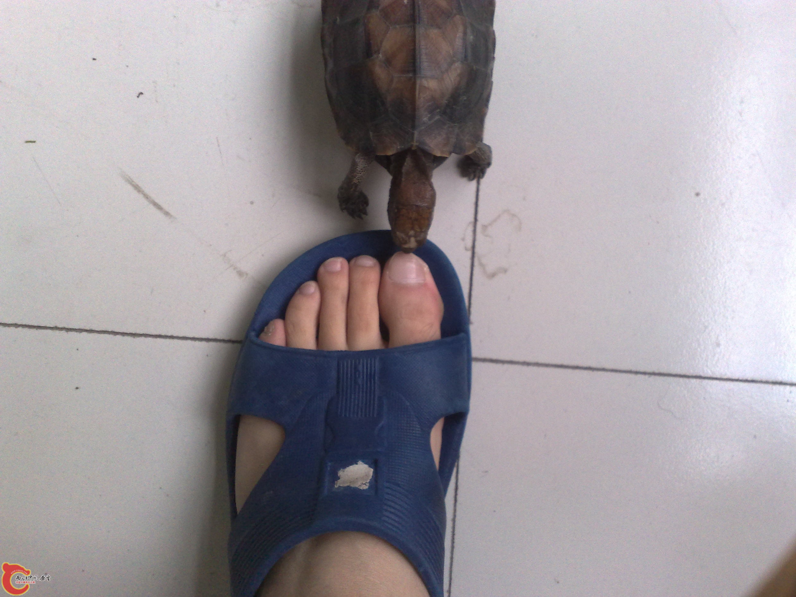 201006101035.jpg