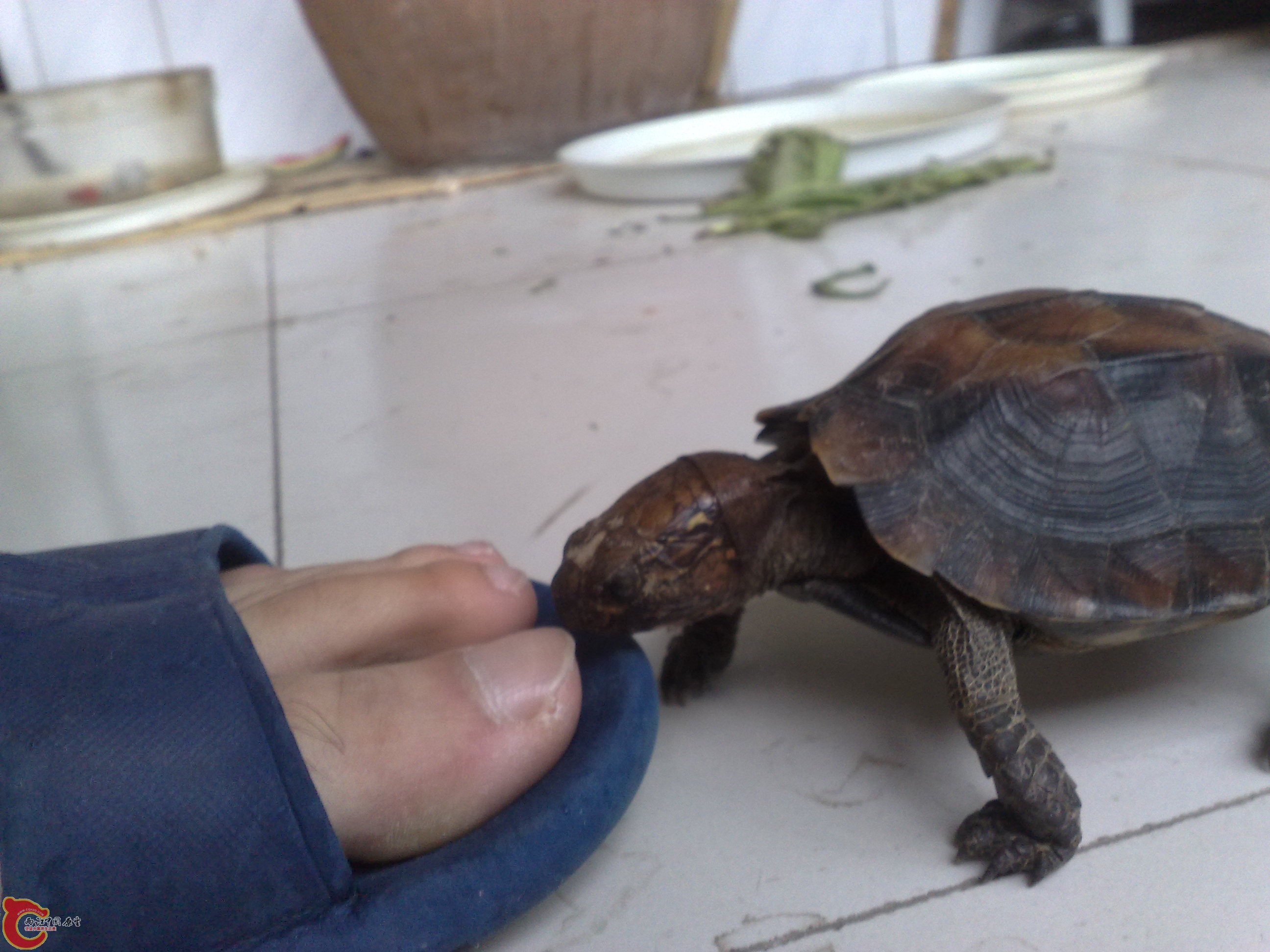 201006101036.jpg