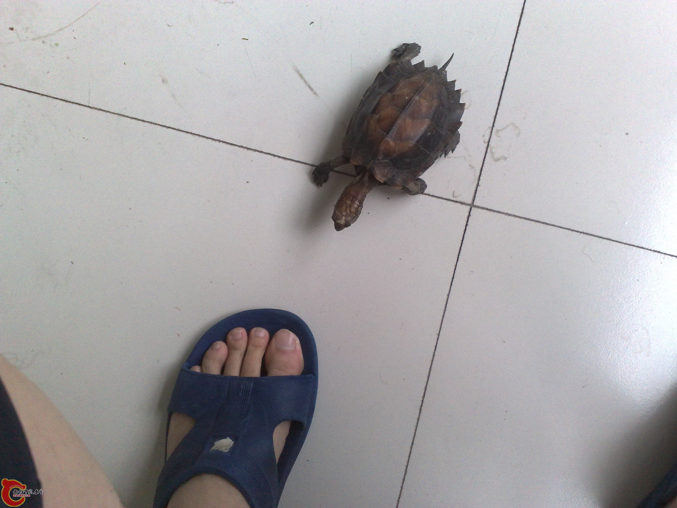 201006101039.jpg