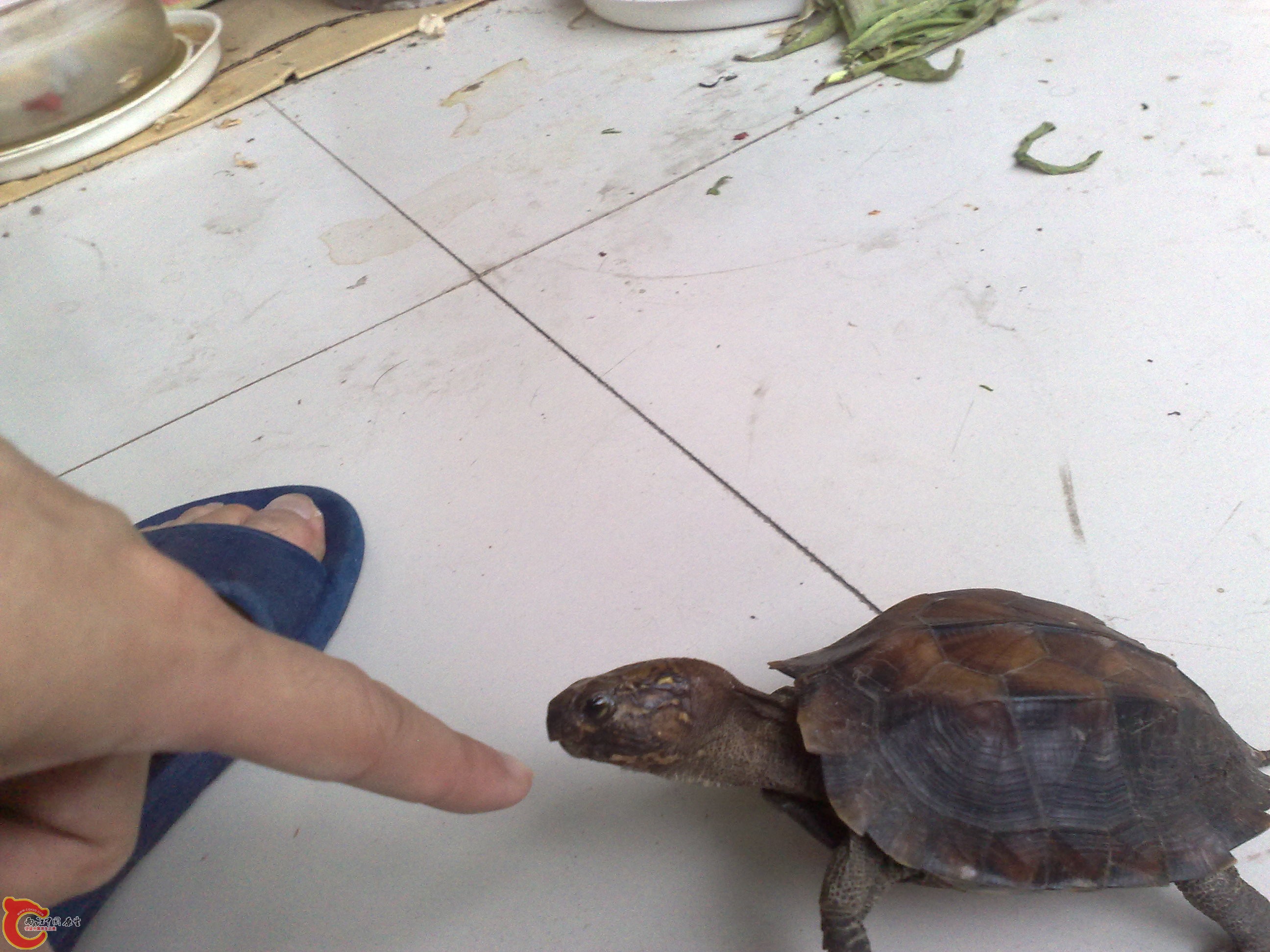 201006101040.jpg