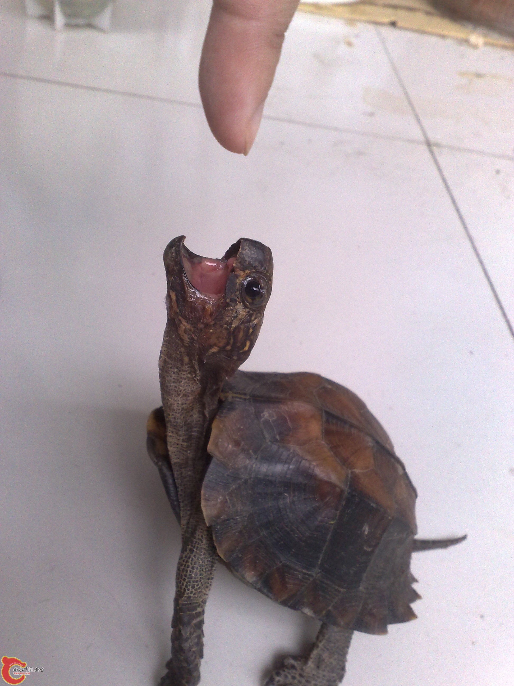 201006101043.jpg