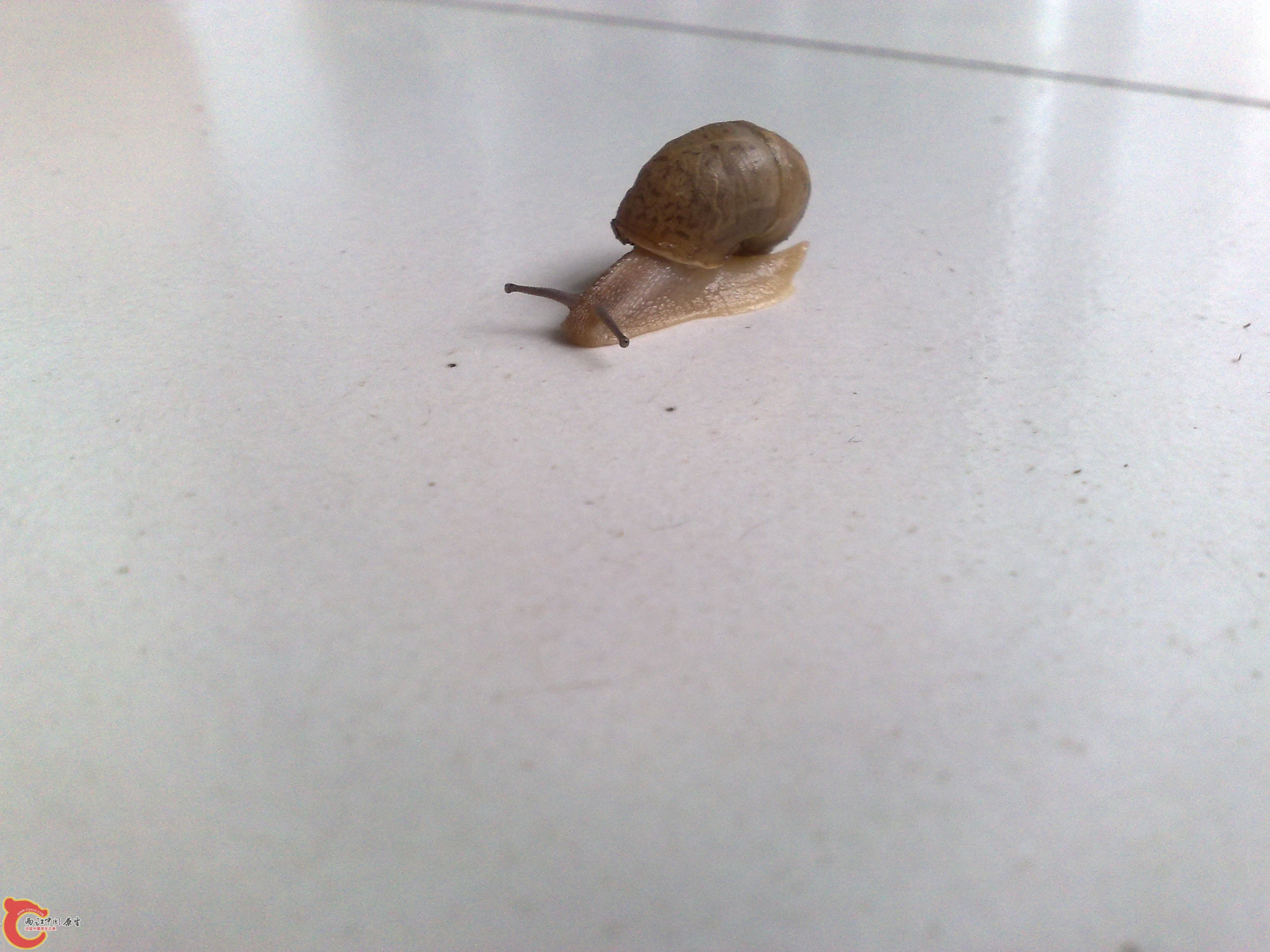 201006101044.jpg