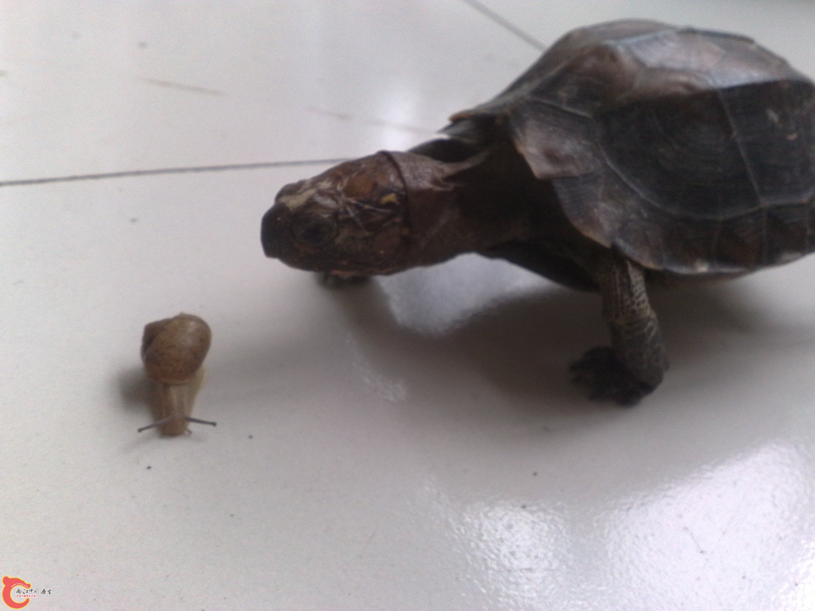 201006101045.jpg