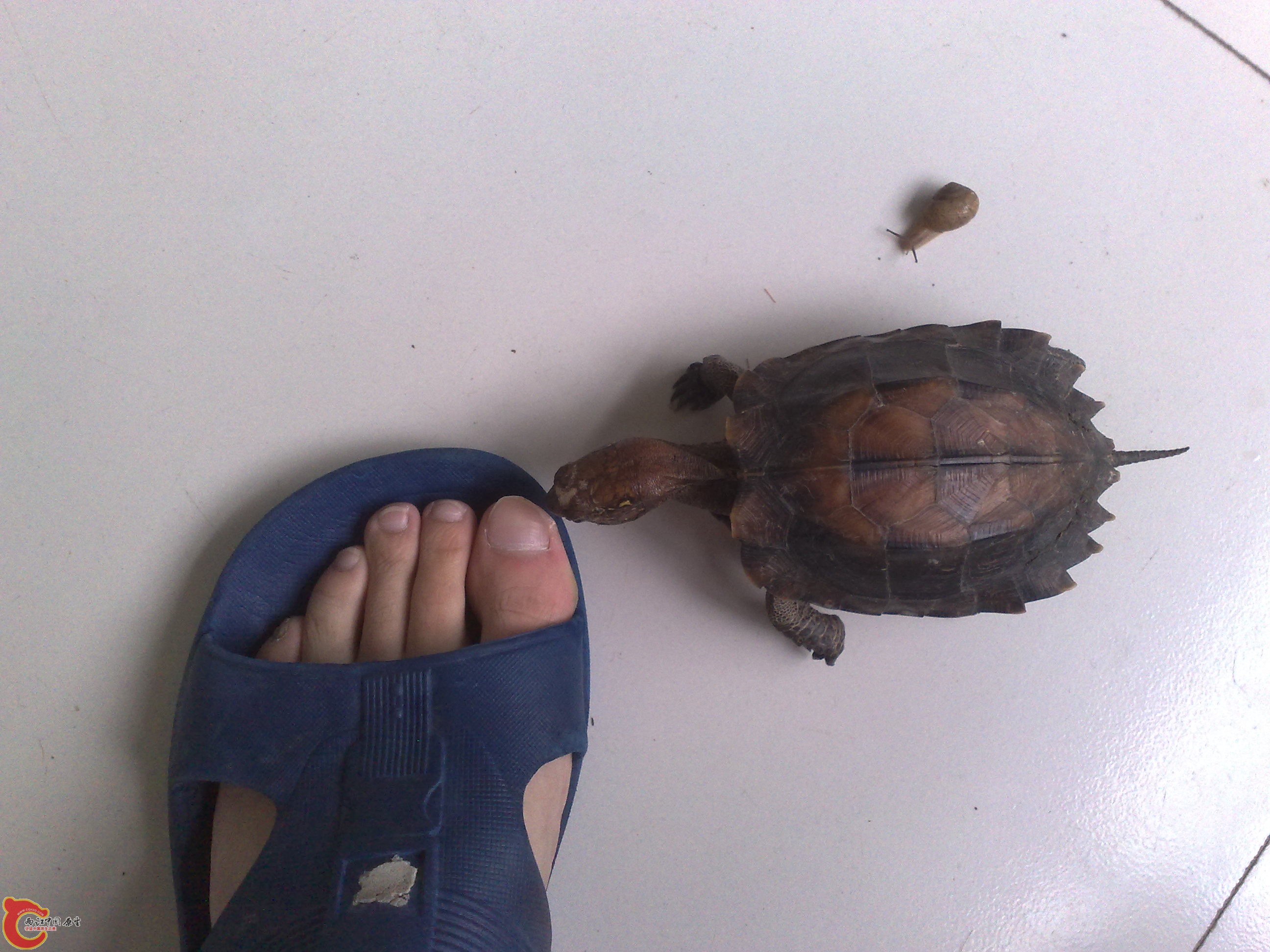 201006101047.jpg