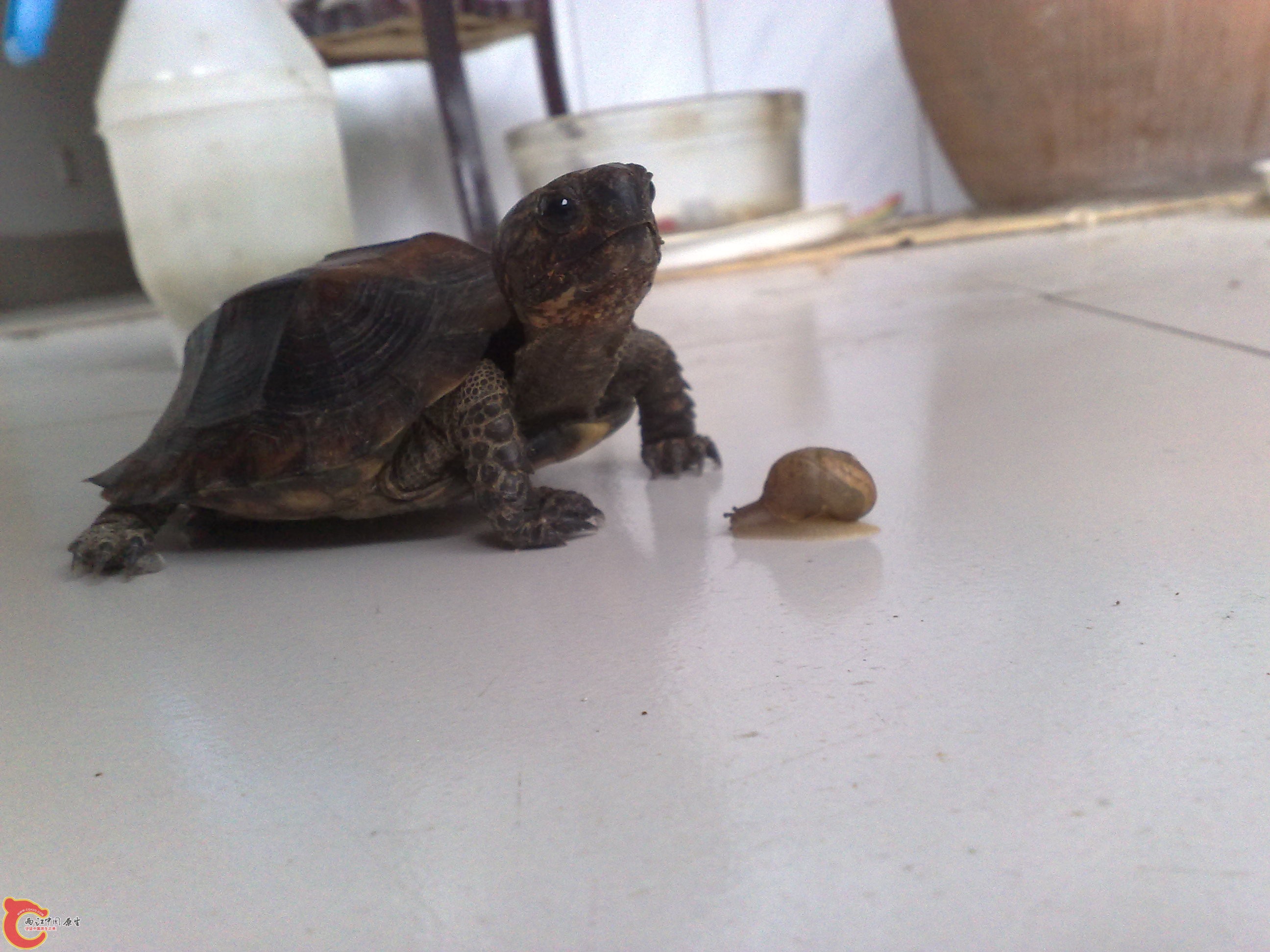 201006101049.jpg