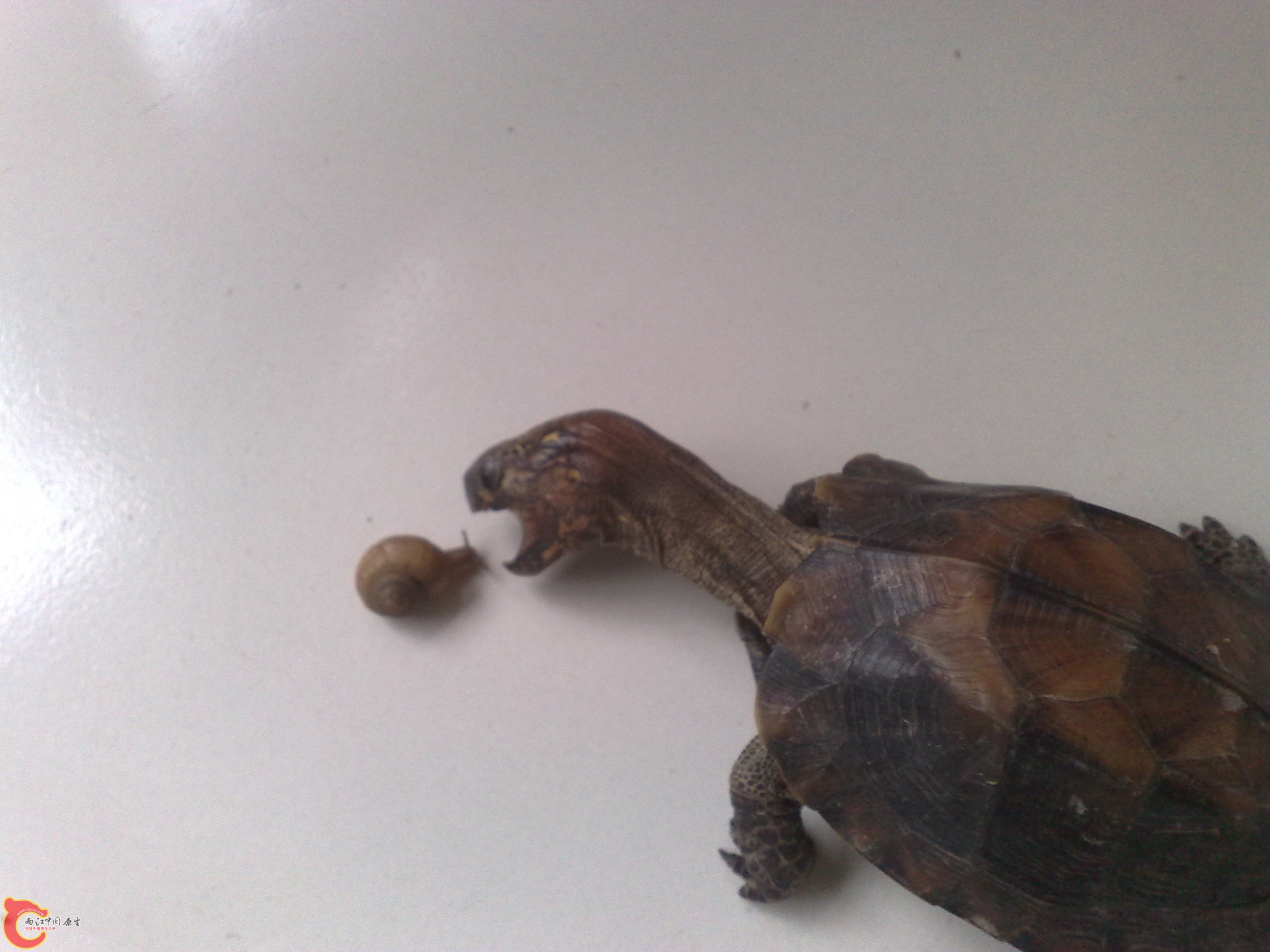 201006101051.jpg
