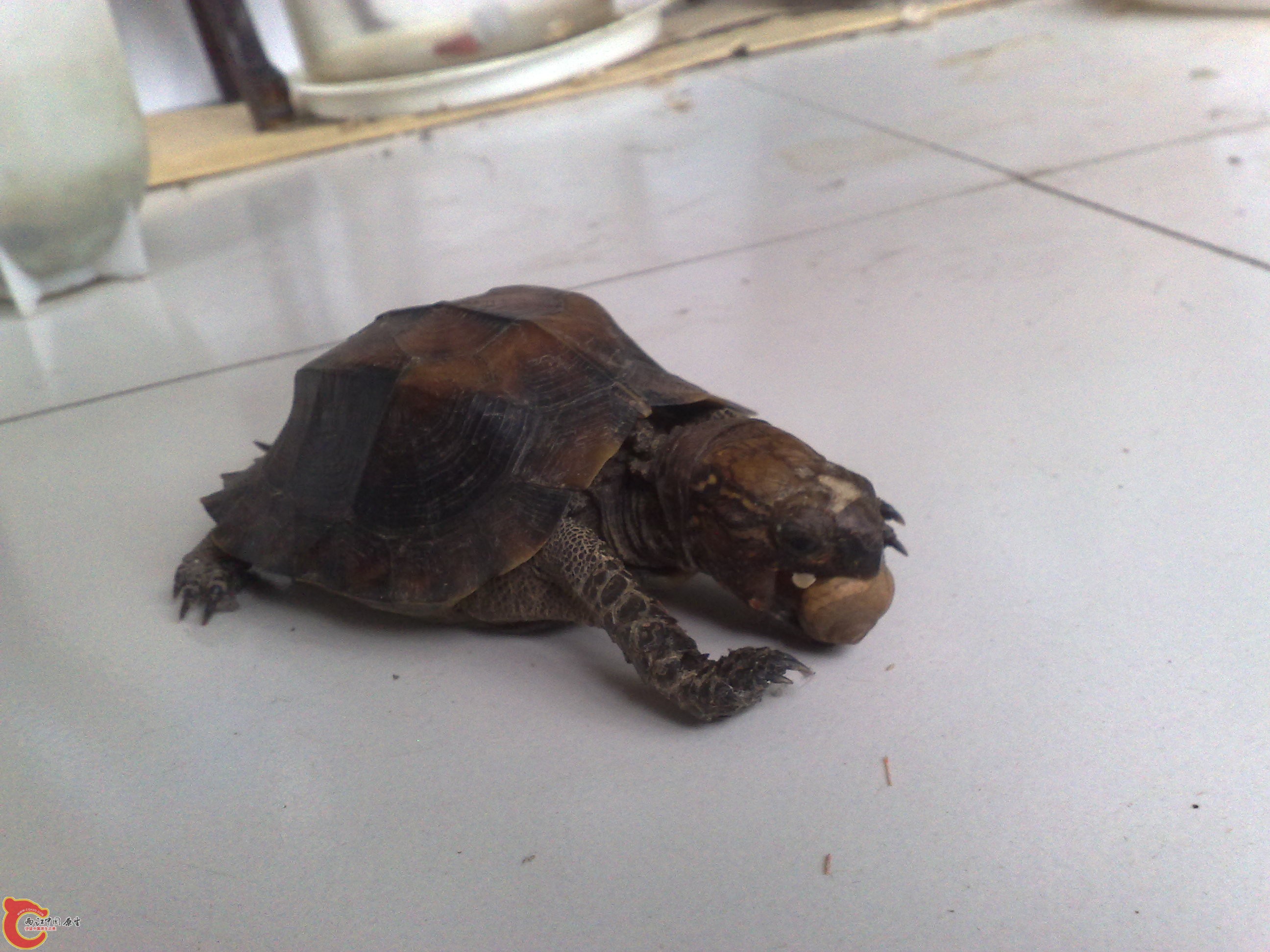 201006101052.jpg