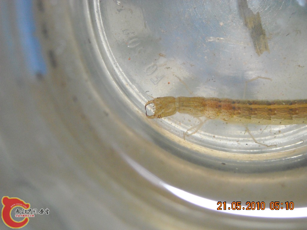 DSCN4176.jpg