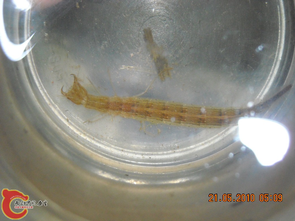 DSCN4171.jpg