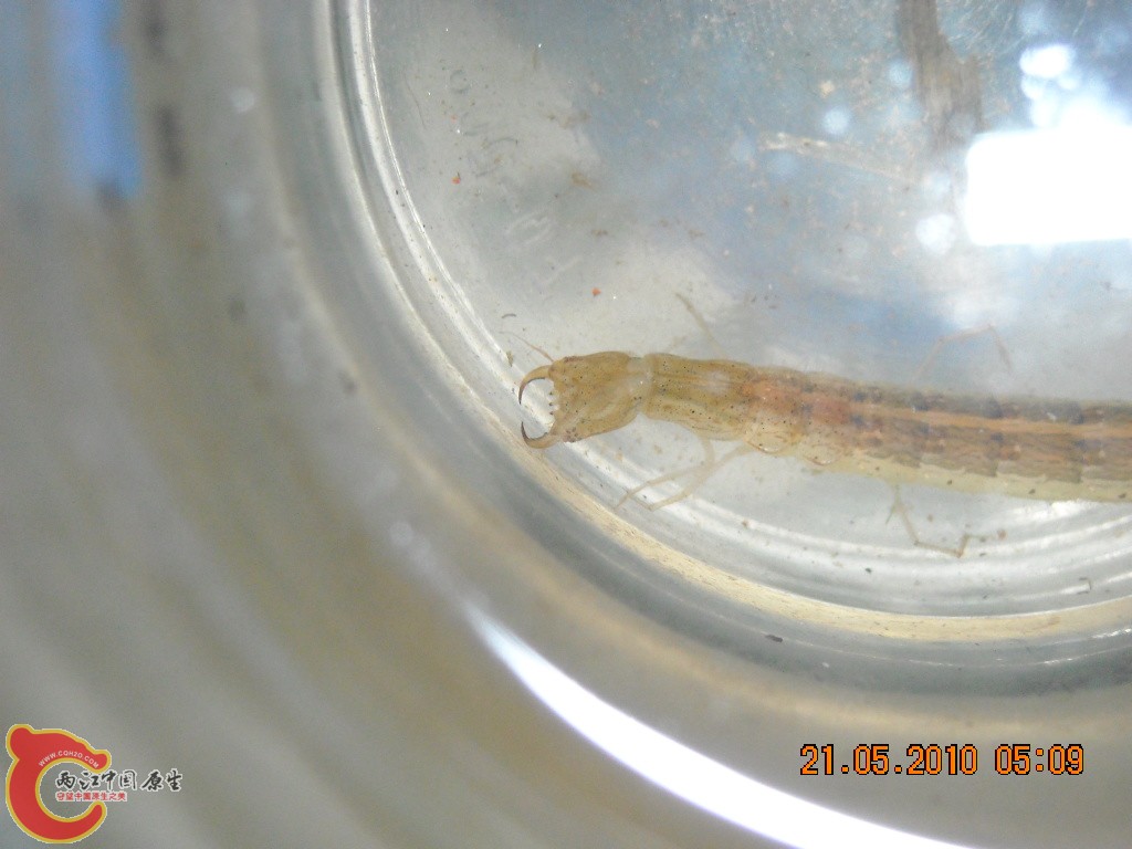 DSCN4174.jpg