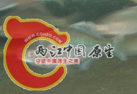 112.jpg