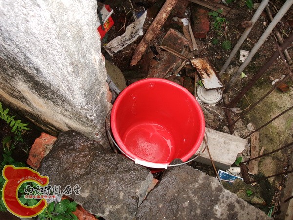 DSCF6355.jpg