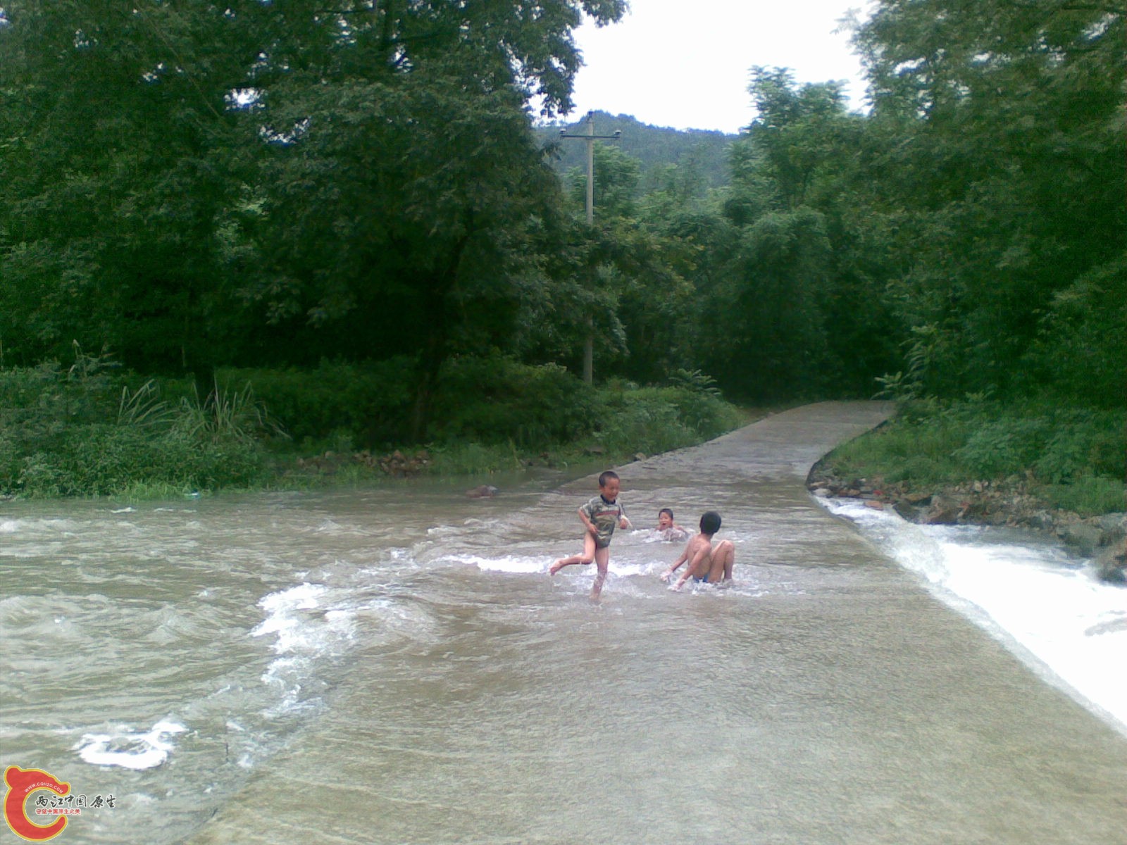 20100625(008).jpg