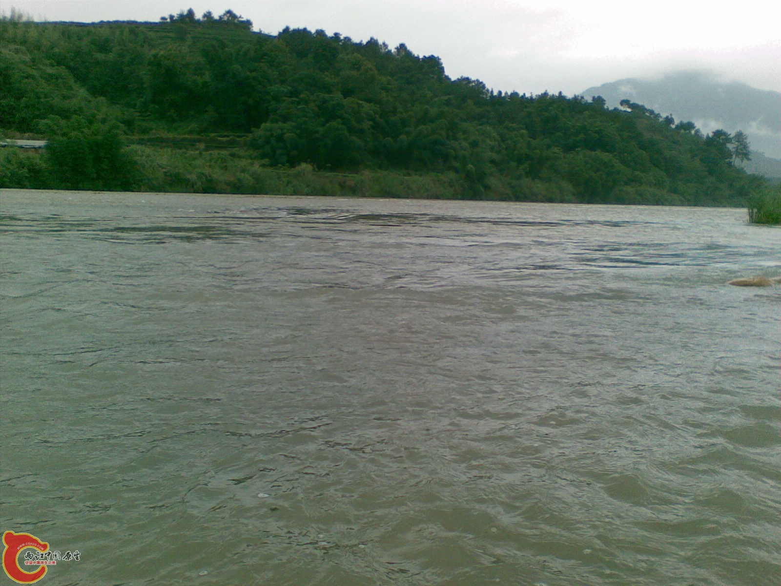 20100625(015).jpg