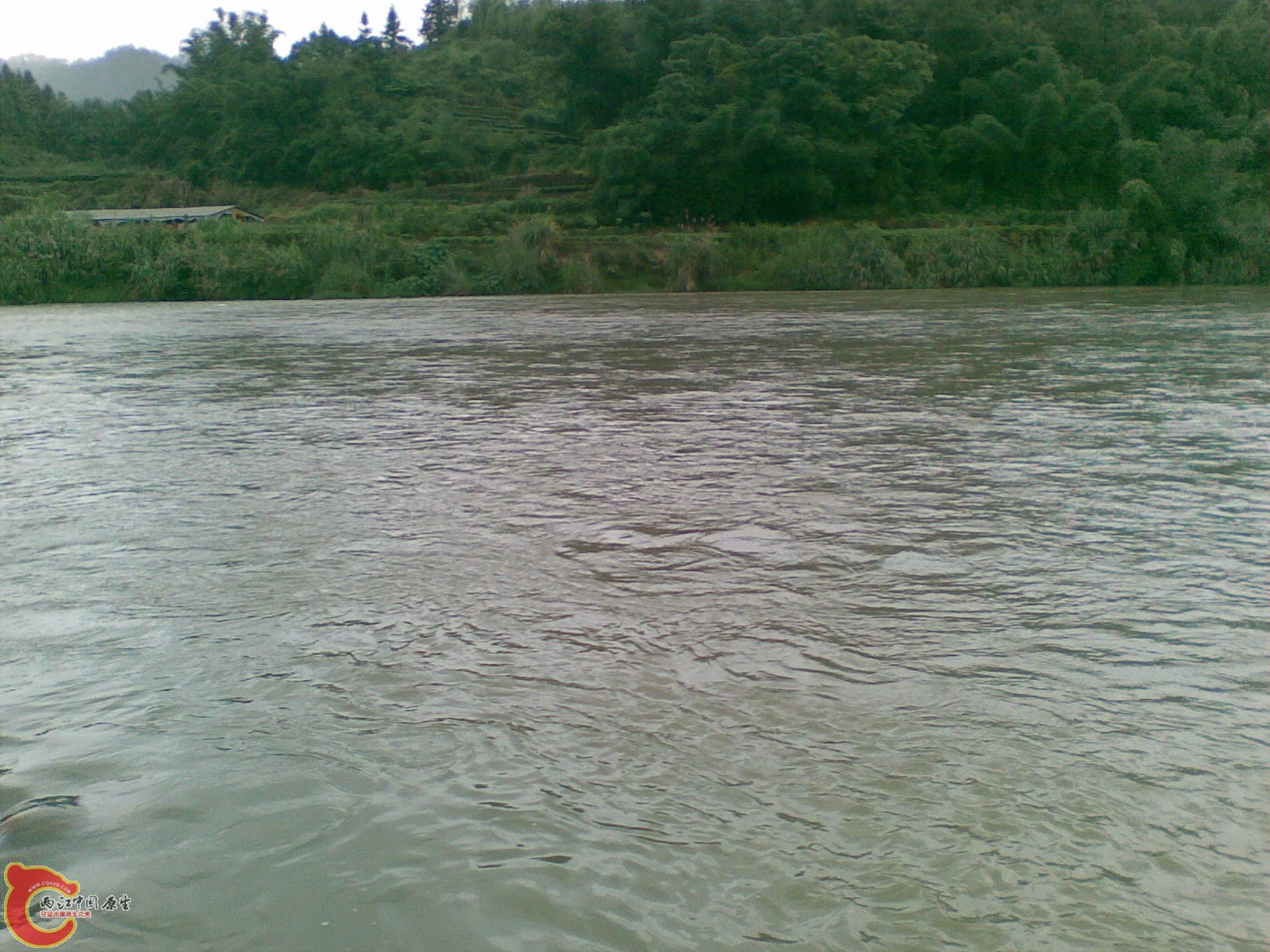 20100625(021).jpg