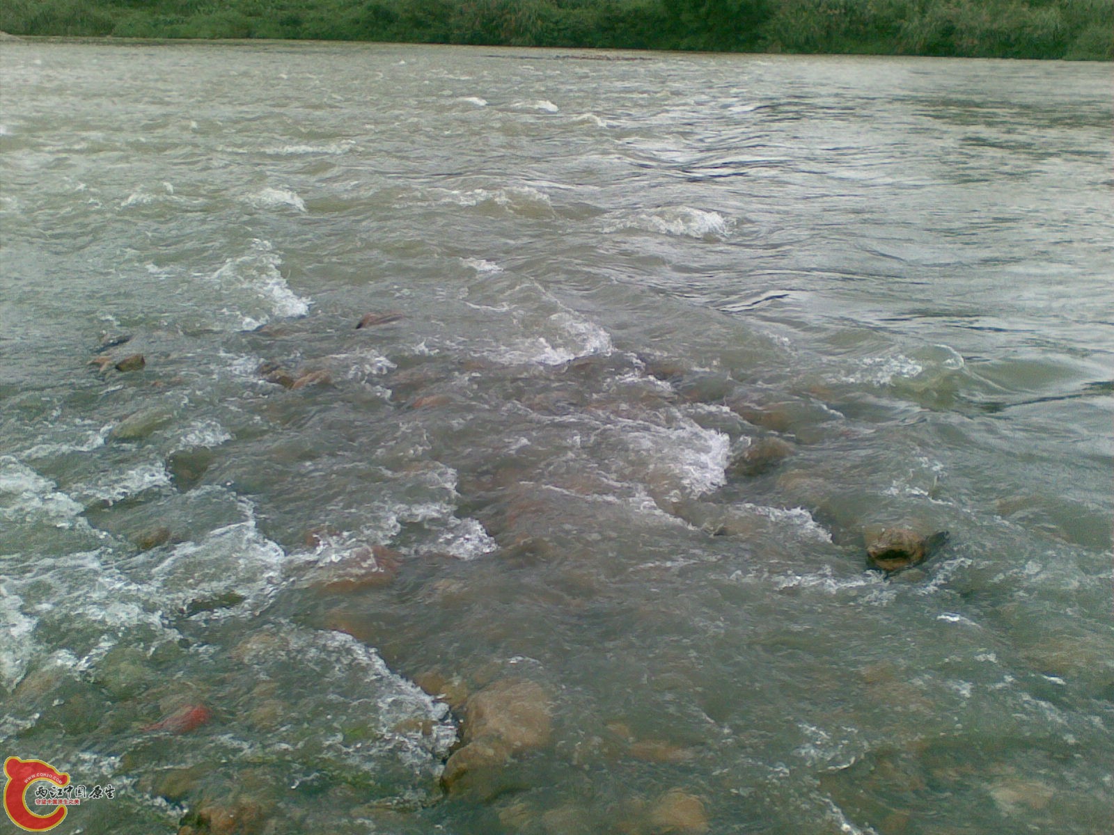 20100625(023).jpg